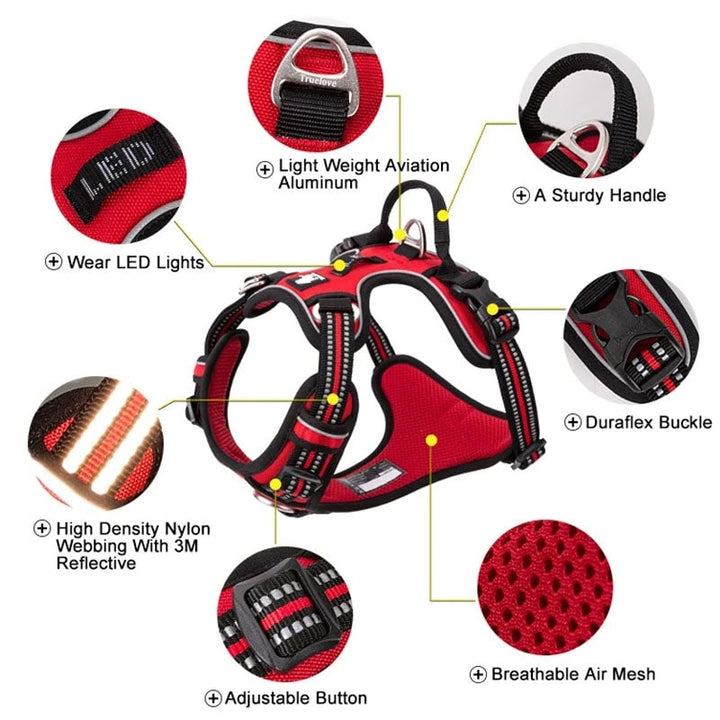 No Pull Harness
