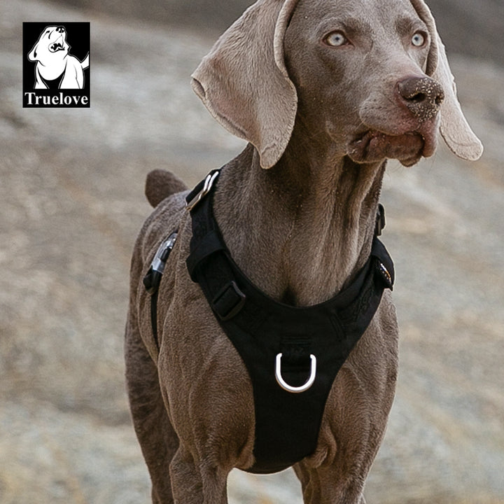 Lightweight Harness