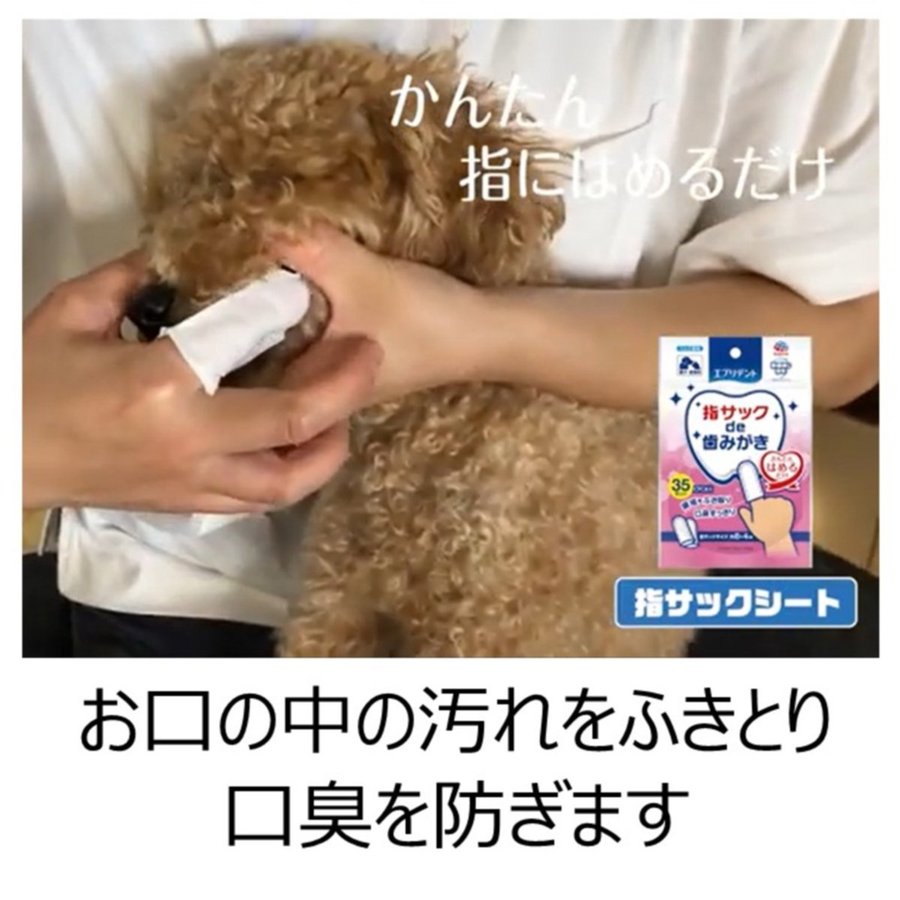 [6-PACK] Earth Japan Pet Finger Pads Toothpaste Pads 35pcs for Cats and Dogs