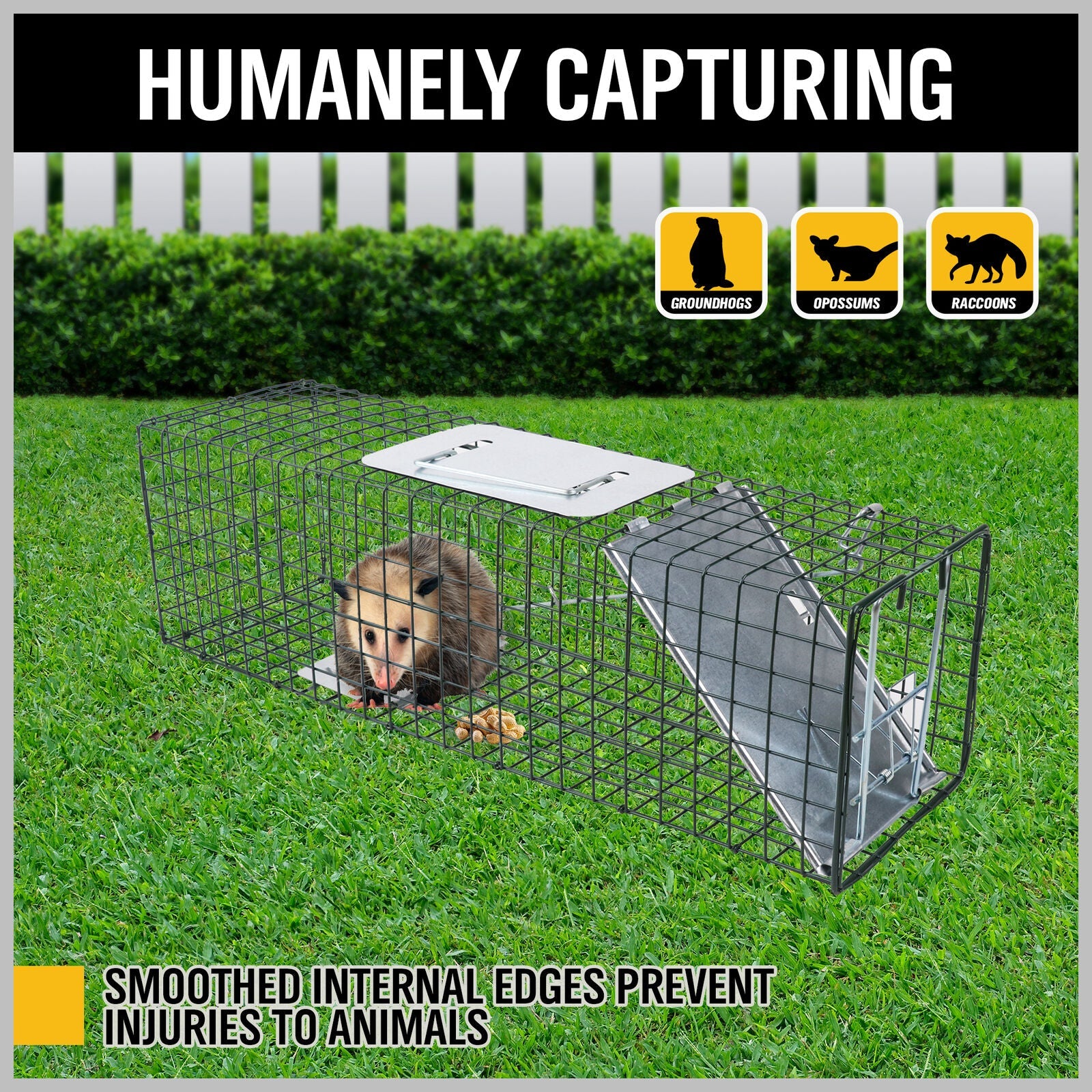 2 Size (small + large)Animal Trap Cage Humane Live Steel Catch Possum Fox Rat Cat Rabbit Bird